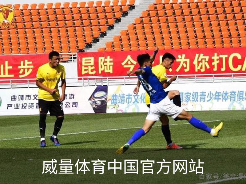 威量体育中国官方网站概况